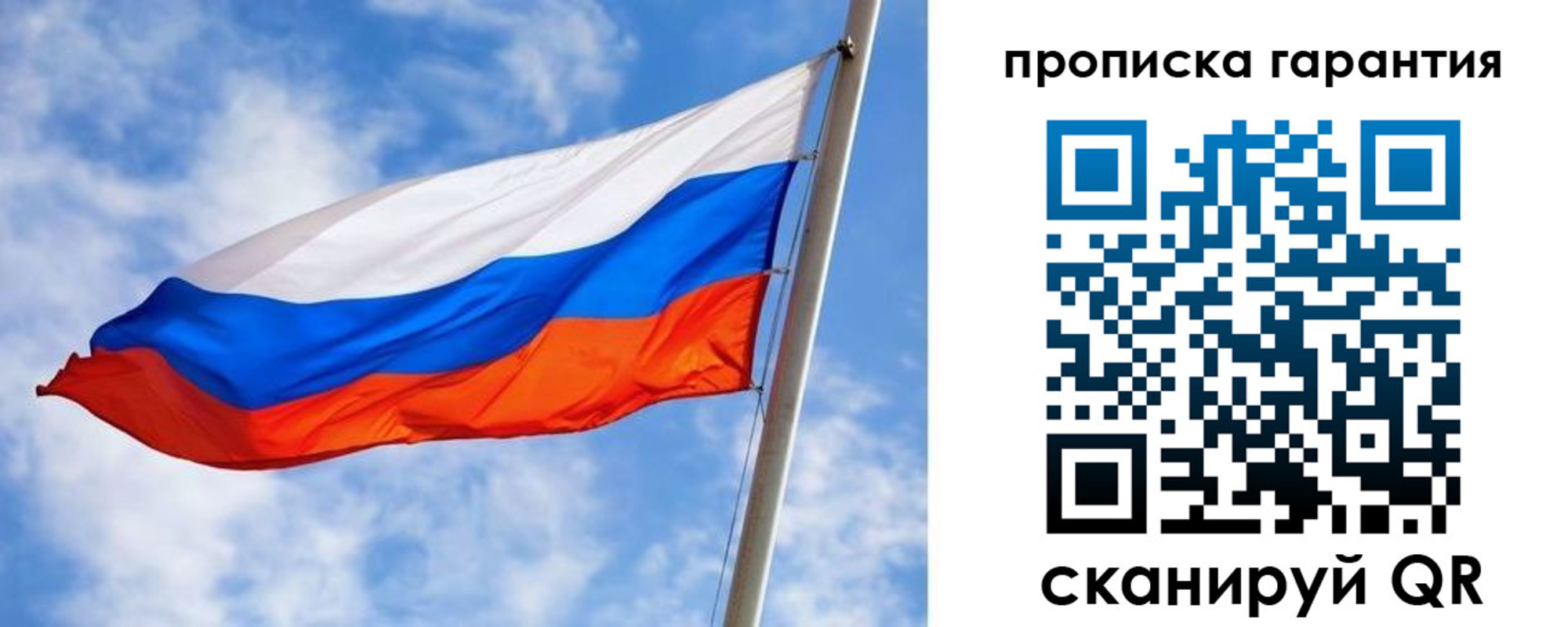прописка гарантия в Владимире